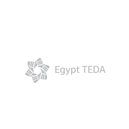 egypt-teda